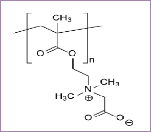 Plascize L-410W(圖1)