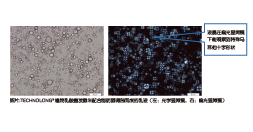 植物乳酸菌發(fā)酵米—SR(圖5) 植物乳酸菌發(fā)酵米—SR(圖5)