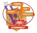 有機(jī)薏苡仁發(fā)酵液 (圖1) 有機(jī)薏苡仁發(fā)酵液 (圖1)