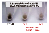 有機(jī)薏苡仁發(fā)酵液 (圖2) 有機(jī)薏苡仁發(fā)酵液 (圖2)