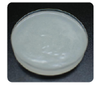 DS-HydroCeramide N5(圖1) DS-HydroCeramide N5(圖1)