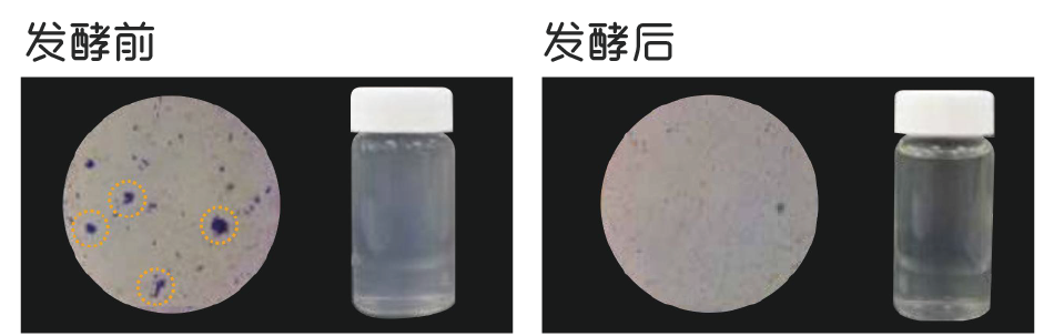 如風米淘淘(圖1) 如風米淘淘(圖1)
